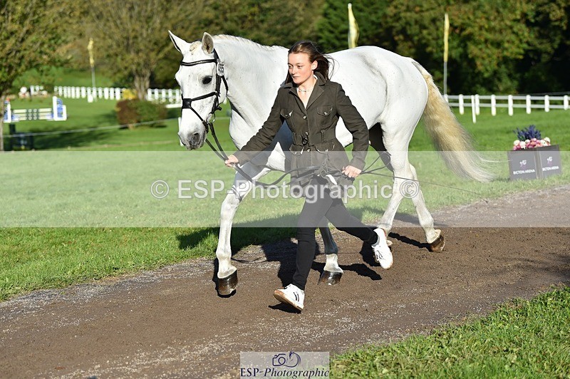 231022-101700-22376 - 455-GURTEEN.BARNEY-Georgie.Driver-TrotUp+SJ