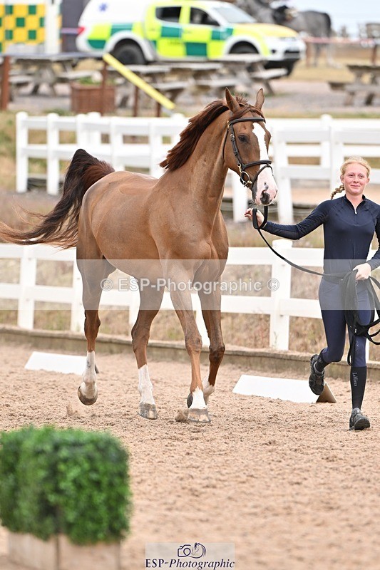 250716-161511-02520 - Trot Up 3.30 to 4.30