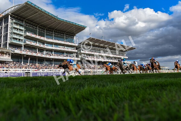 yr19082022r7-32 - Race 7 5.20pm Sky Bet Mile Stakes