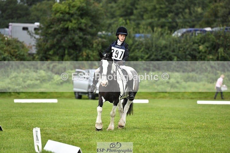 230826-112814-15873 - Sections C & D 10 to End