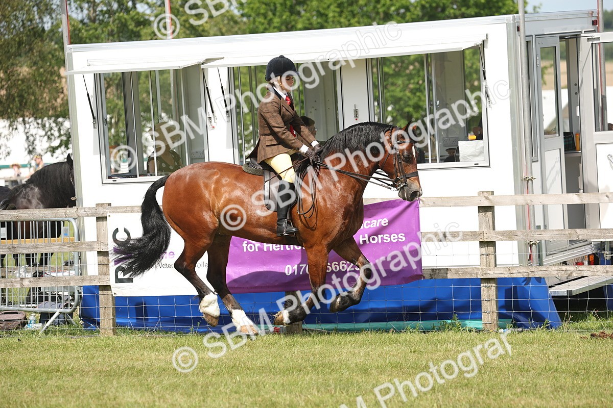 SBM_07680 - Class 26-30 - Mountain and Moorland Ridden