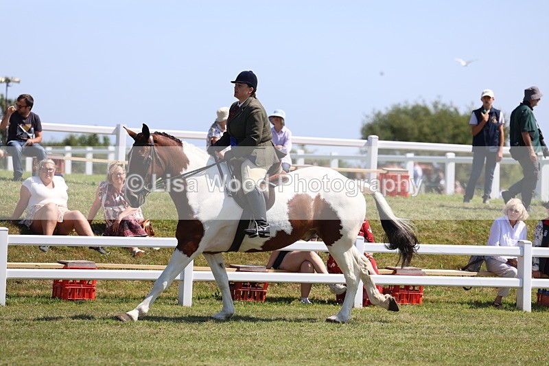 3E7A7551 - Rising Star Ridden Championship