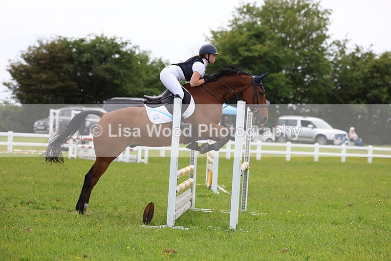 3E7A1731 - Class 13: Senior British Novice/90cm open
