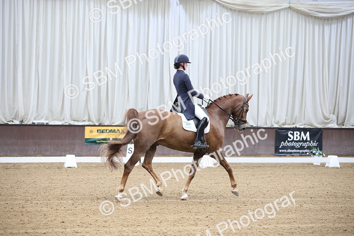SBM_004344 - Class 9 - FEI Inter 1 Gold - 15.55-16.43