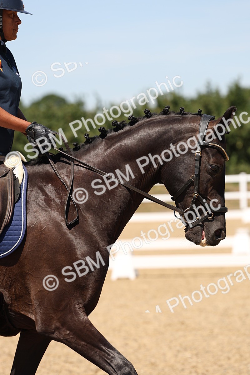 SBM_002810 - Elementary 4