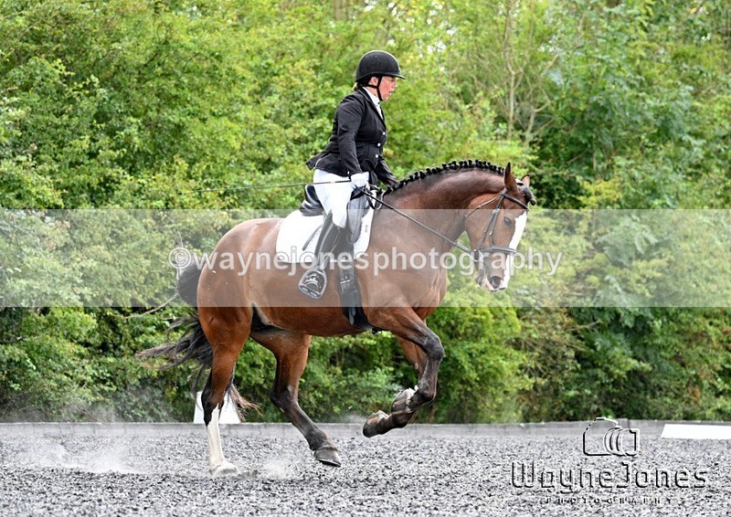 WJ7_0169 - Edited examples