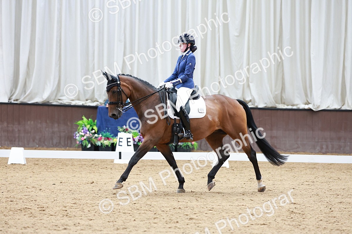 SBM_017872 - Class 15 - FEI Junior