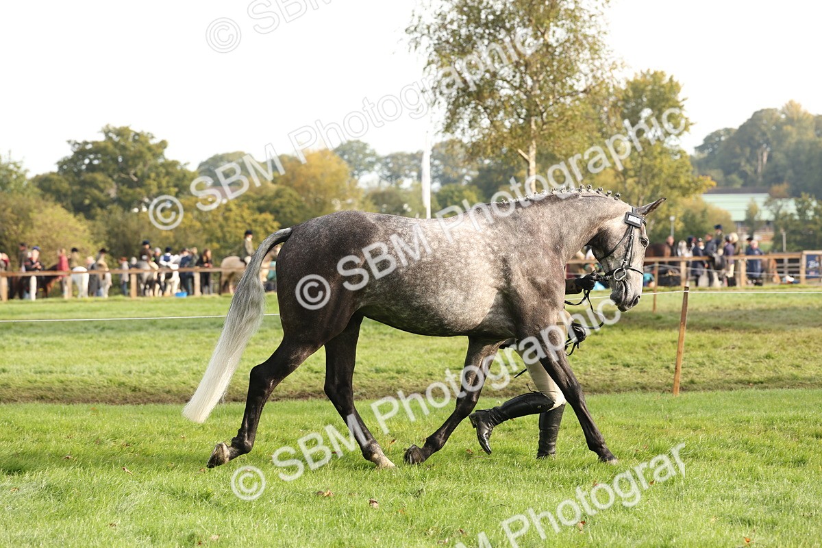 SBM_54673 - S53 - Hunter In Hand
