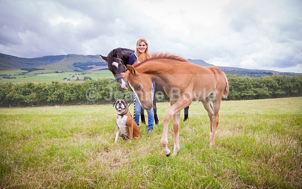  - Equine Gallery Portfolio