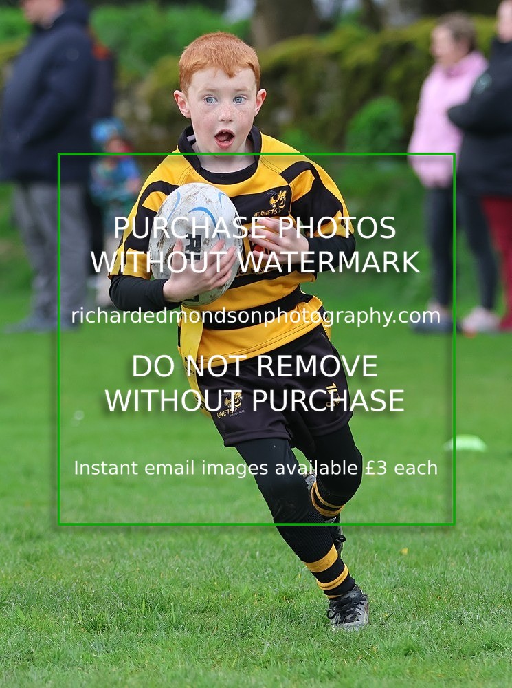 533A5038 - Kendal Rugby Under 7's (12/4/26)
