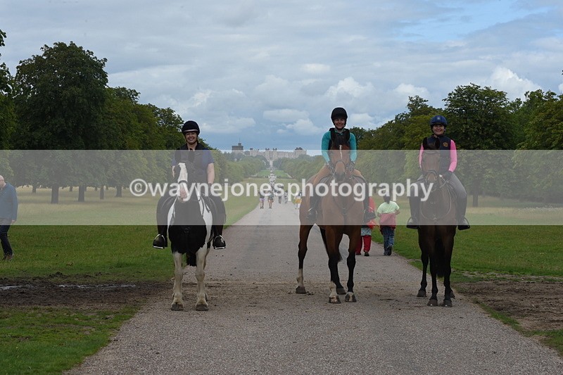 TT3_9739 - Time at Crossing 11:28 to 13:16