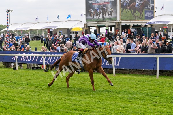 150525-See The Fire-4469 - Race 3 3.13pm Al Basti Equiworld Dubai Middleton Fillies' Stakes