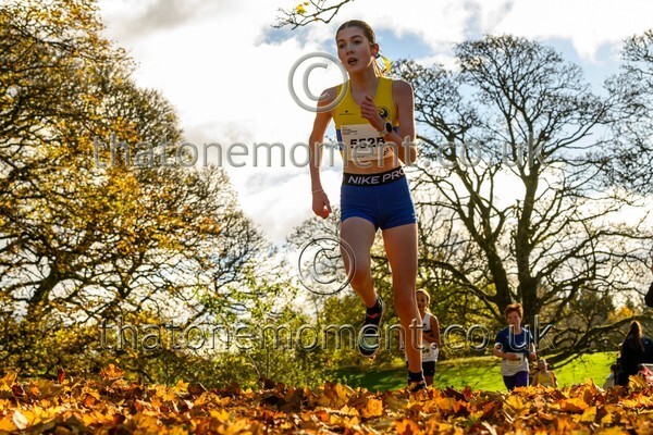 NatRel25-913698 - Young Female Set Two