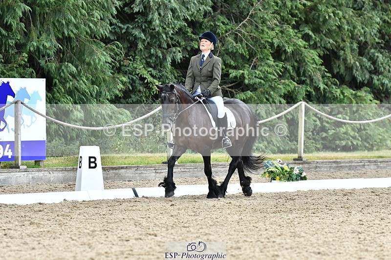 260801A-122117-03897 - Prelim Bronze Break - End