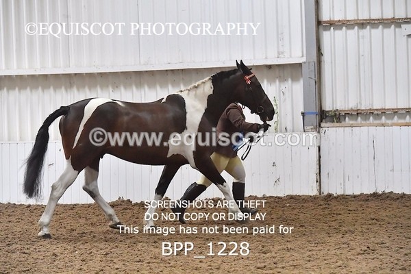 BPP_1228 - RING 2