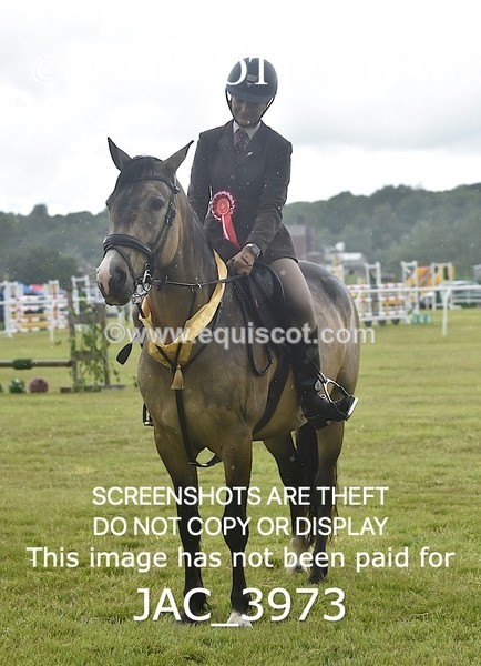 JAC_3973 - 55cm WORKING HUNTER