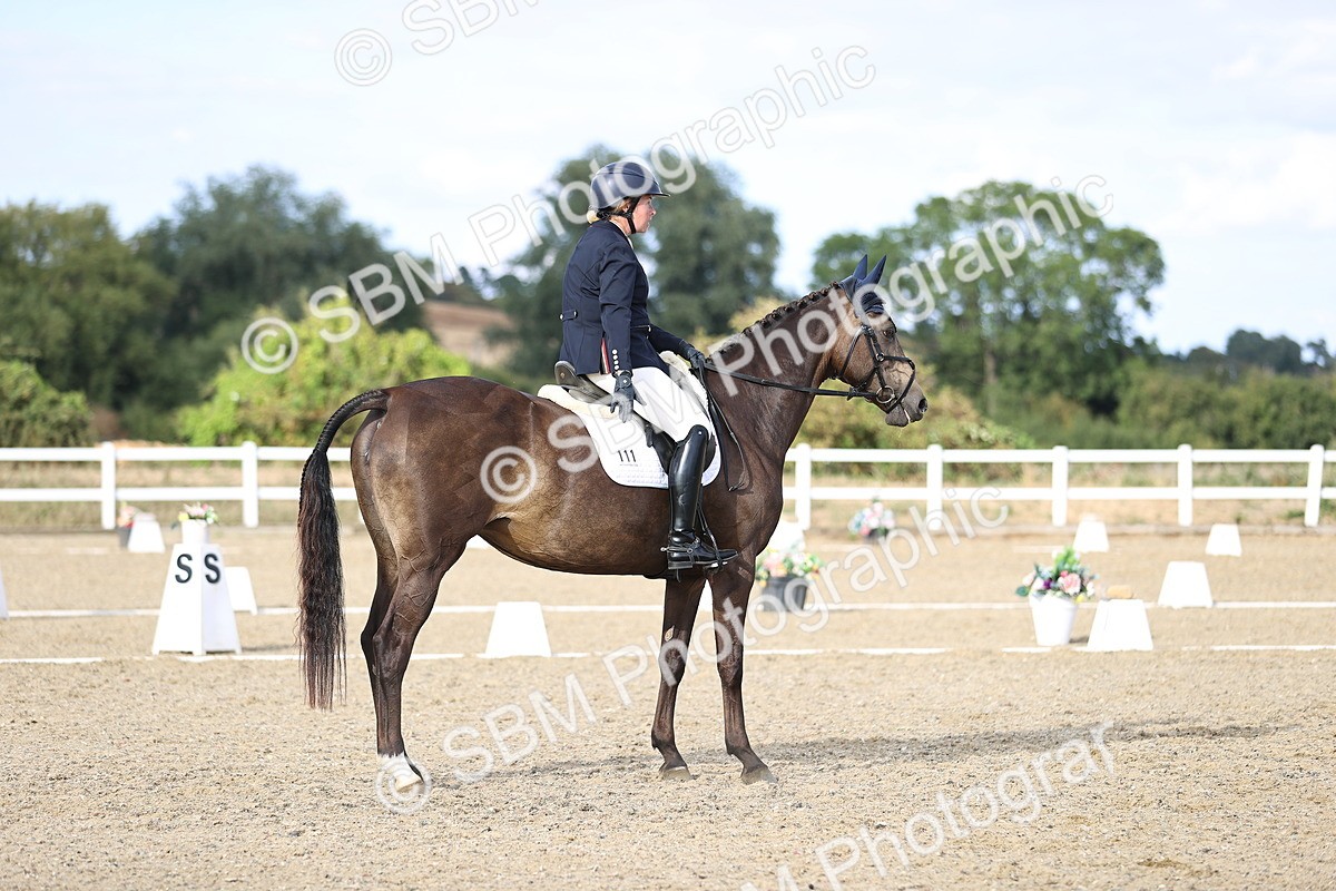 SBM_016123 - Class 5 - E5 Bronze  16.18.17.22