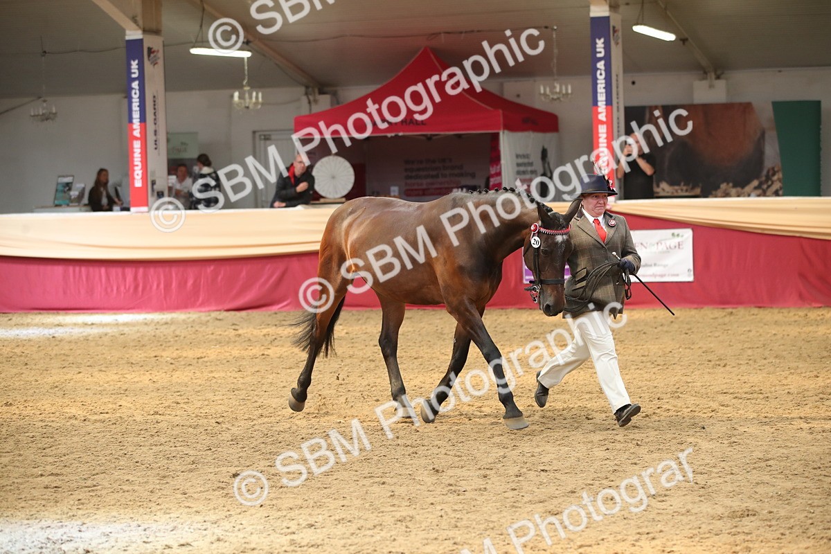 SBM_05316 - Class 8R - Regional IH Veteran