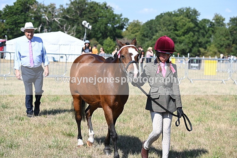 WJ6_4748 - Class 17 Mountain & Moorland