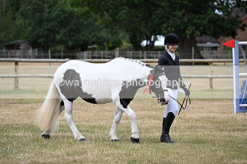WJ6_4543 - Class 10 Coloured In-hand