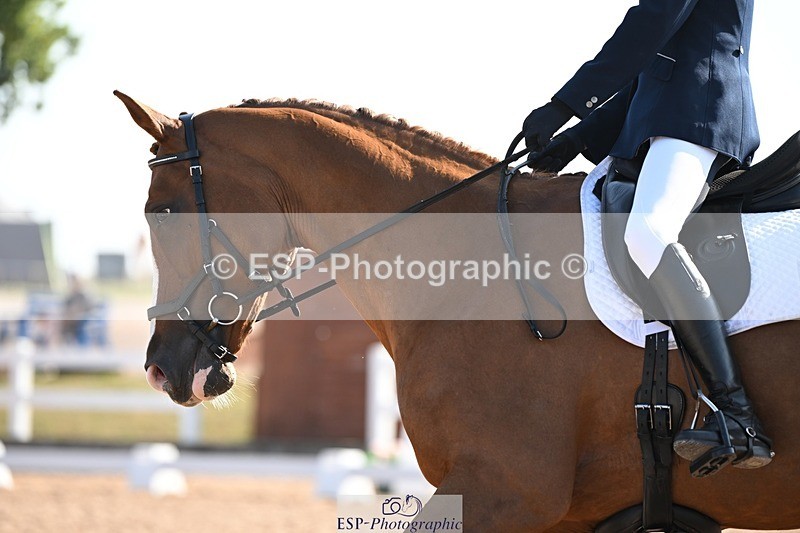 250816-092655-02911 - 076-Melanie.HaslockMinnie.I