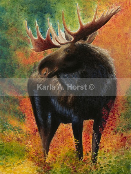 Moose - Greeting Cards and Journals
