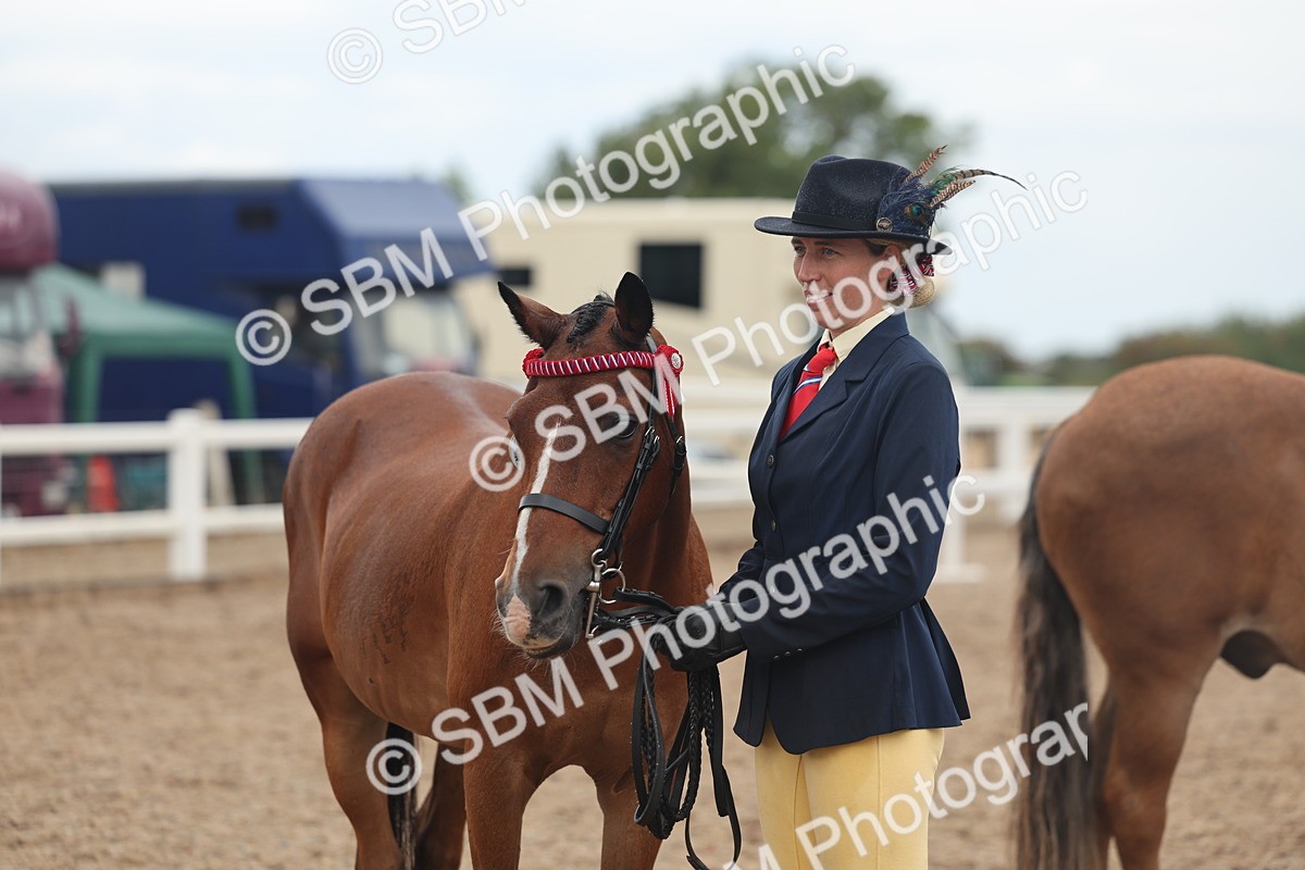SBM_07813 - Class 27 - IH Competition Horse/Pony