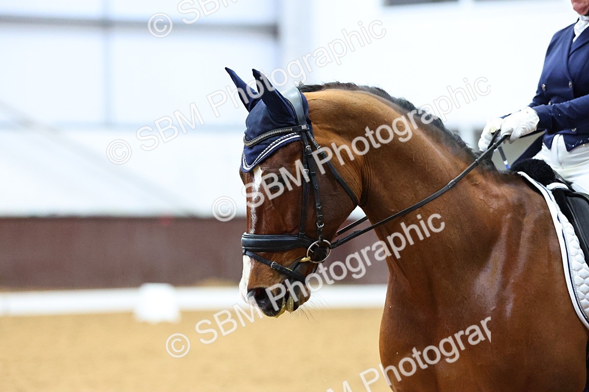 SBM_002003 - Class 14 - N6