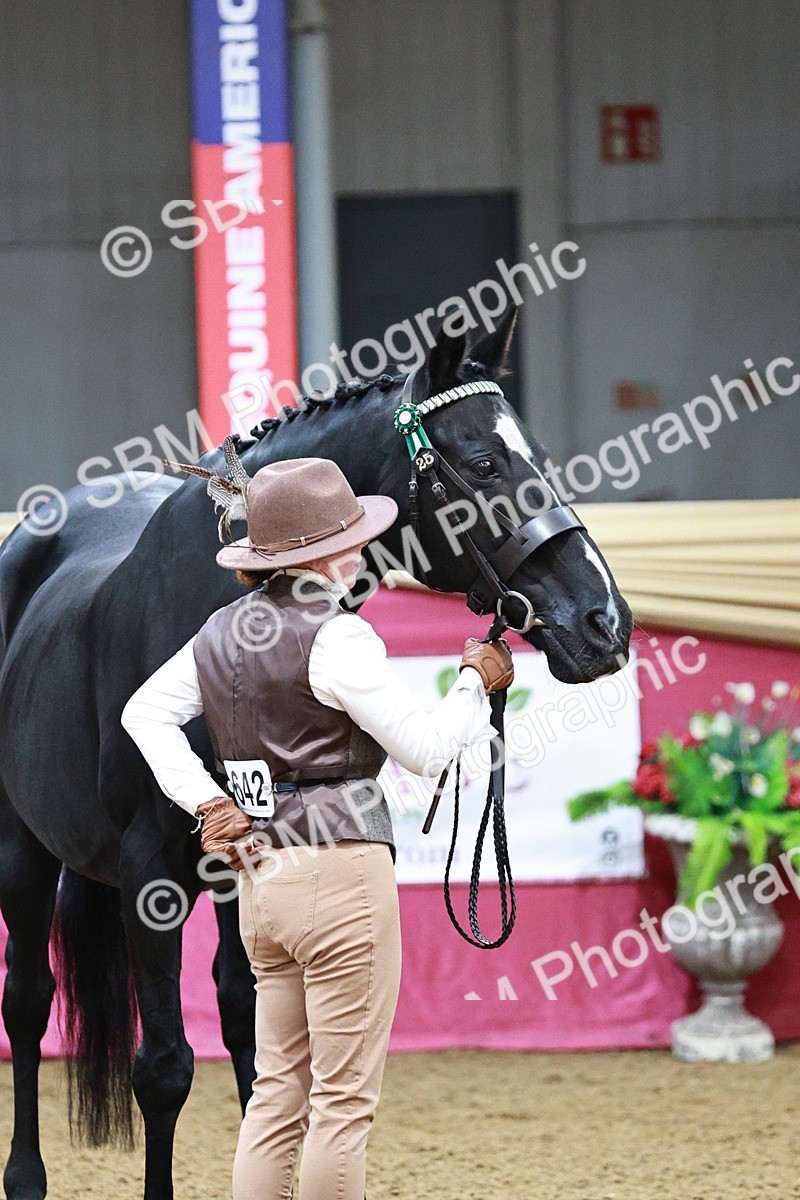 SBM_00231 - Class 1A - Area IH Diamond
