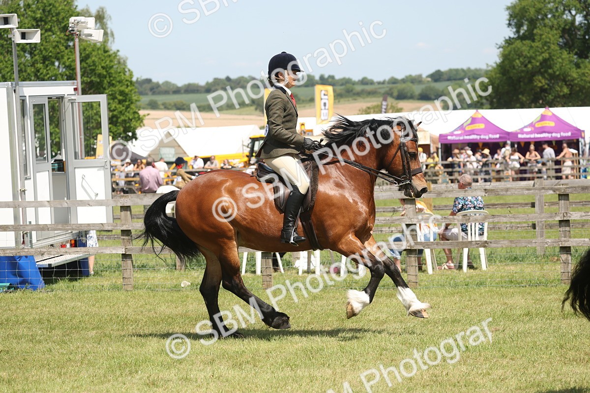 SBM_06913 - Class 26-30 - Mountain and Moorland Ridden