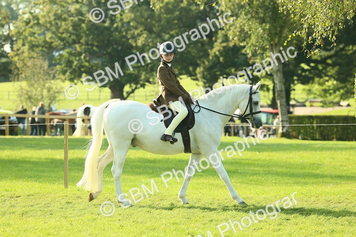 SBM_59296 - S38 - Starters Ridden Showing