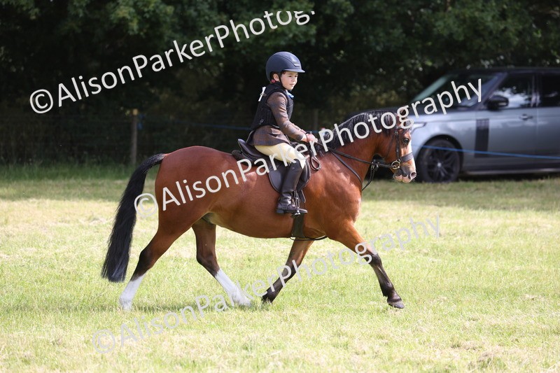 20260614-0495 - Class 20 - Beginners Working Hunter Pony