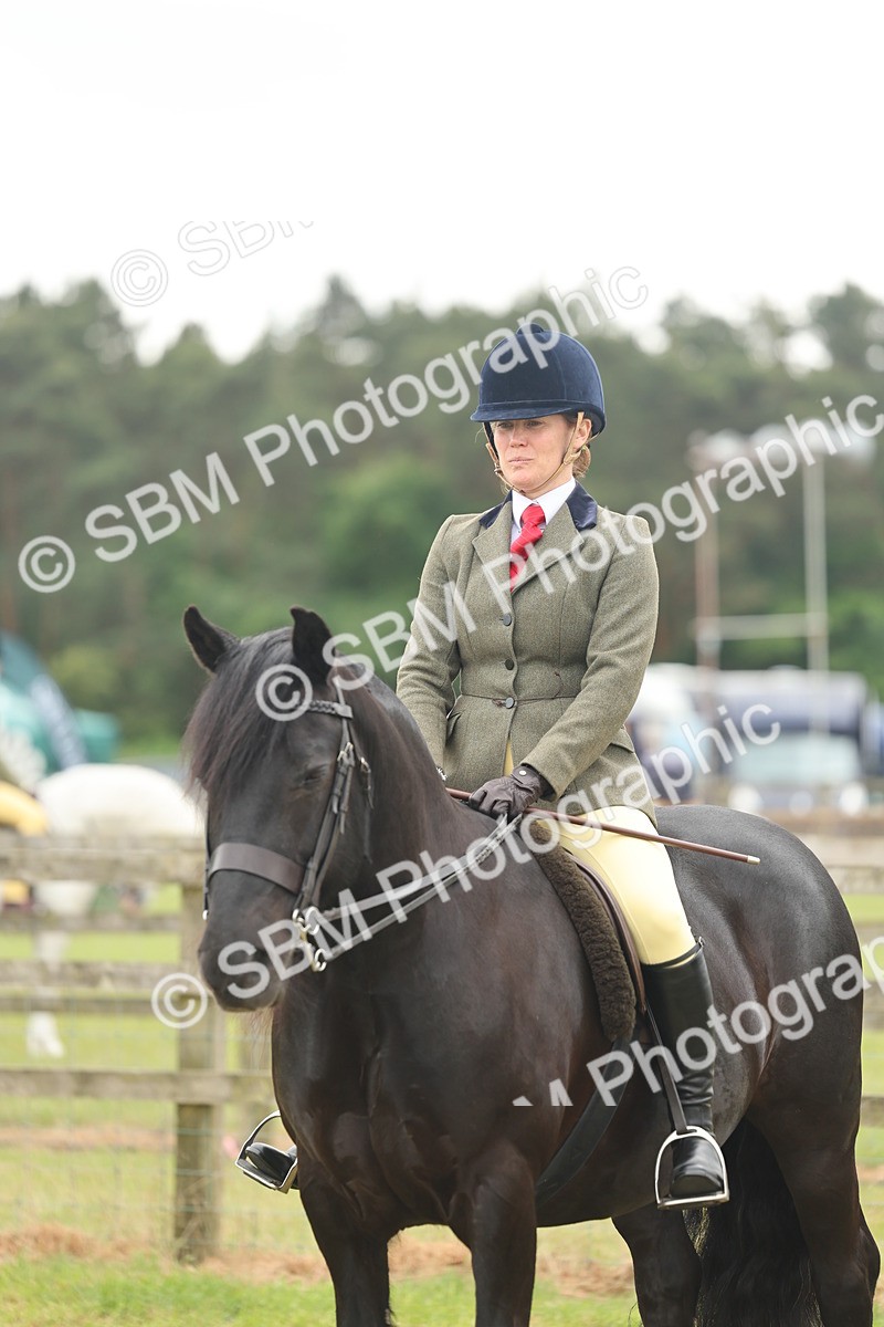 SBM_09000 - Class 78-80 - Ridden M&M Non Welsh Ponies