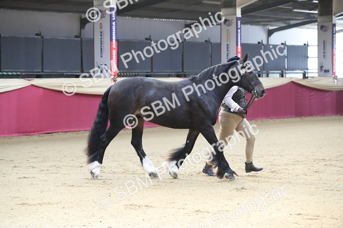 SBM_00540 - class 2a Area IH Veteran