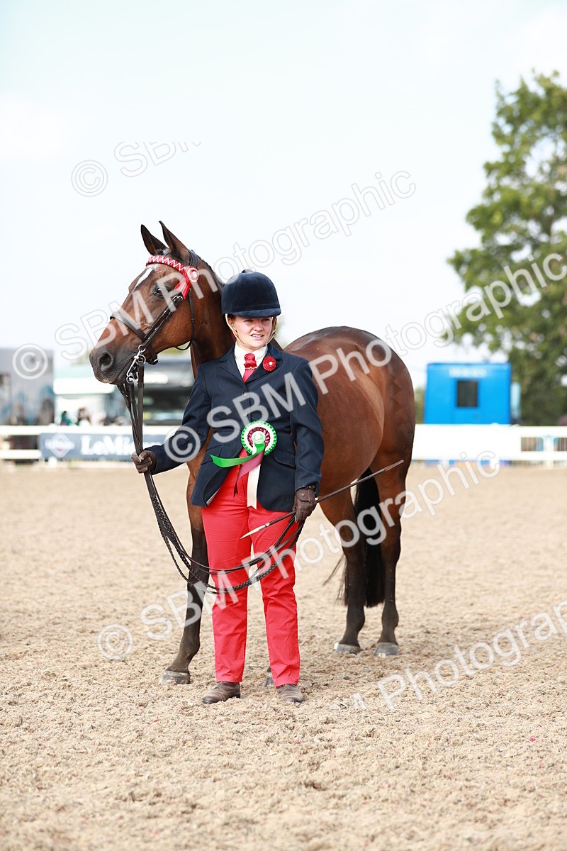 SBM_11132 - Class 205 IH Show Pony/ Show Hunter Pony