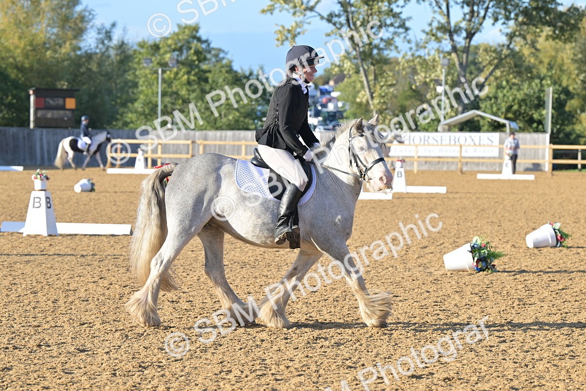 SBM_13118 - D3 - Small Tour Championship Intro 3