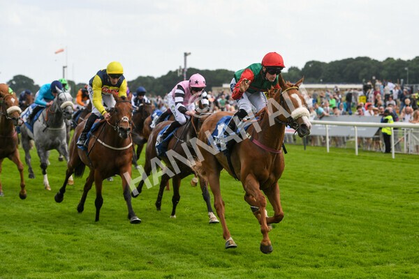 yr10062022r5-32 - Race 5 4.05pm Irish Thoroughbred Marketing Stakes