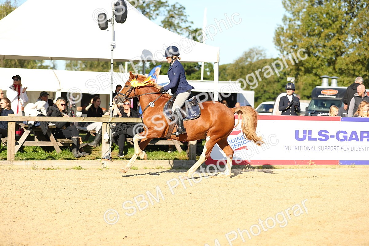 SBM_14961 - J32 - Senior 70cm Championship
