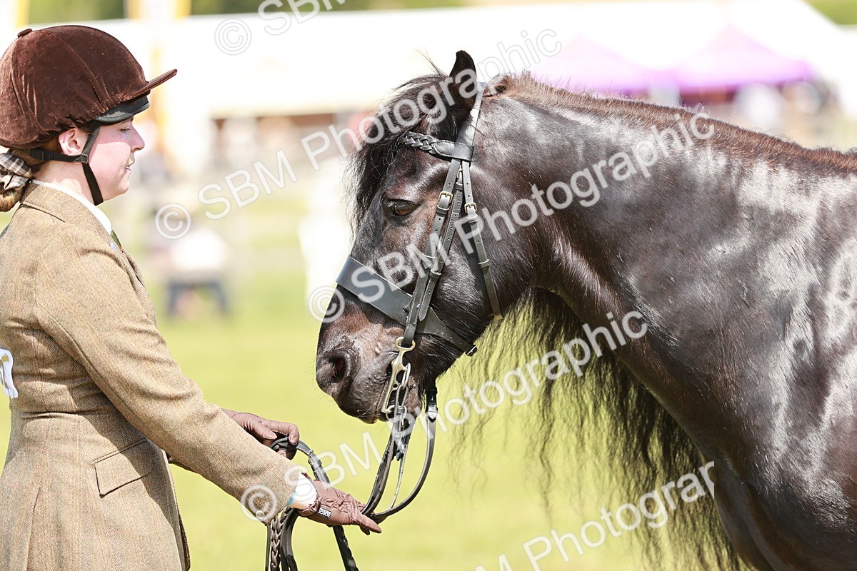 SBM_07168 - Class 26-30 - Mountain and Moorland Ridden