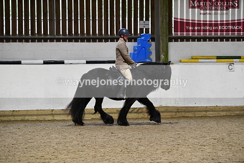 WJ5_8615 - Class 14 Novice Ridden/Rider