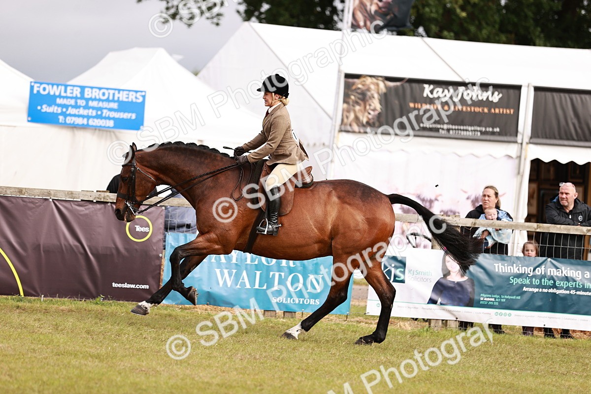 SBM_10868 - Class 81-84 - RIHS Ridden hunters Inc Ladies Hunter