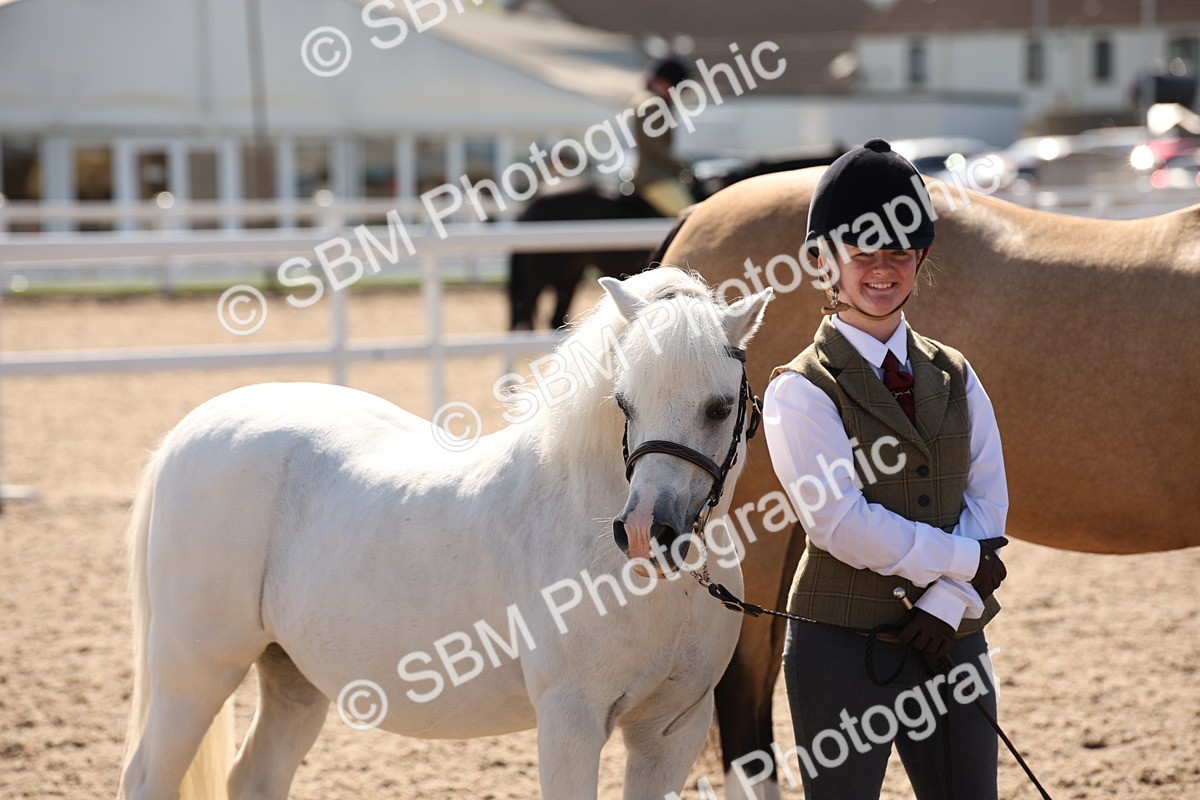 SBM_02800 - Class 16 IH M&M Wildcard