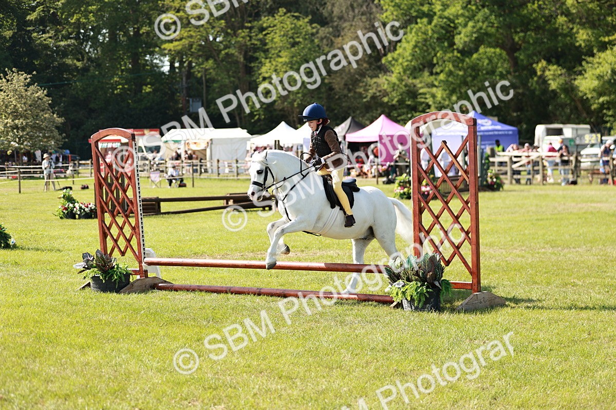 SBM_12640 - Class 106-107 - BSPS LIHS Working Sports Pony