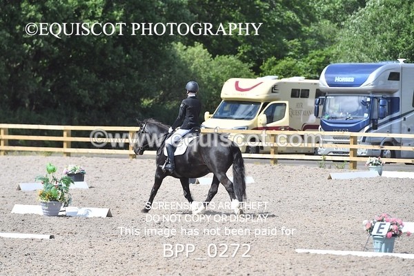 BPP_0272 - SHORT ARENA  MY QUEST PRELIM