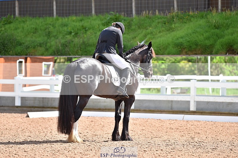 230511A-100937-00217 - BD Cls 2 Prelim 17A