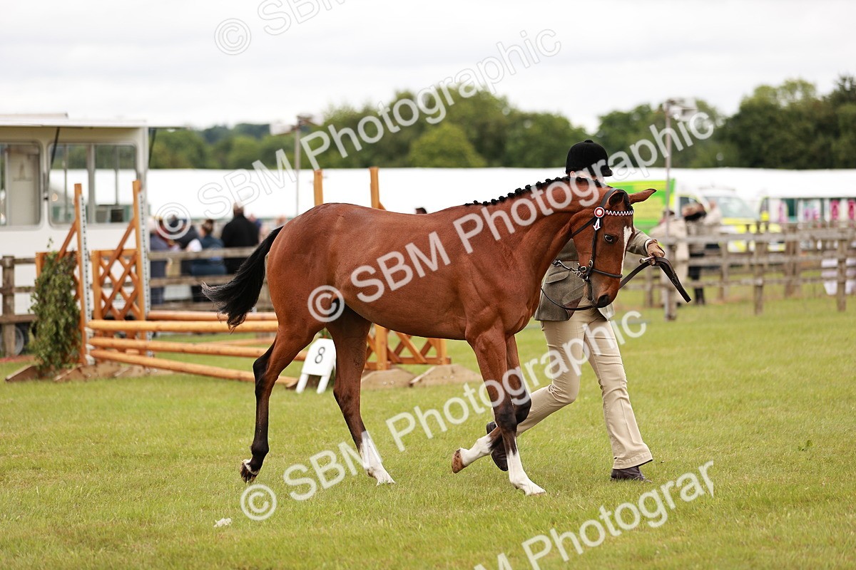 SBM_04765 - Class 35-38 Riding Horse Breeding