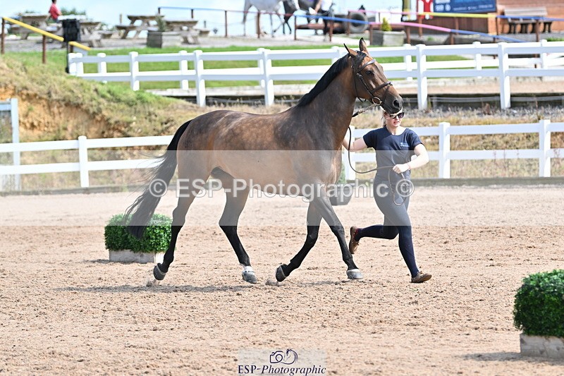 240717A-155438-03169 - Trot Up 3pm to 4pm