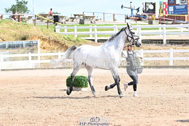 240717A-155918-03242 - Trot Up 3pm to 4pm