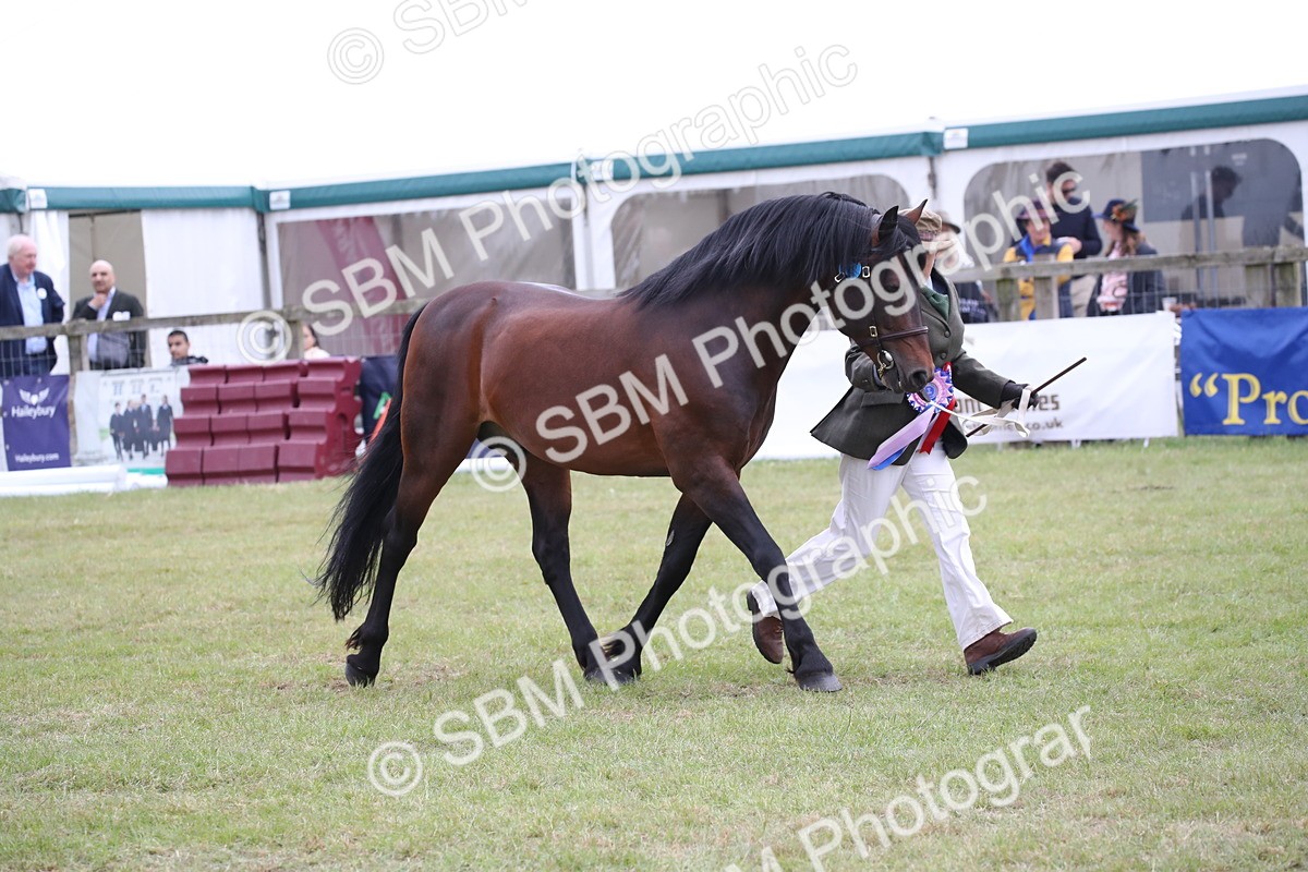 SBM_09831 - Ch 50 - Price Family Supreme In Hand