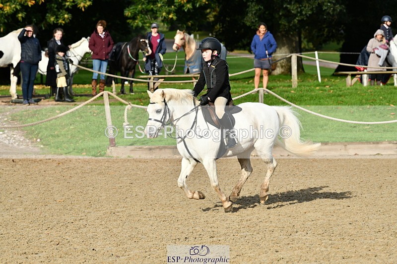 251004A-094919-00257 - Classes 1-2-3 40cm